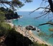Beach 6 minutes away